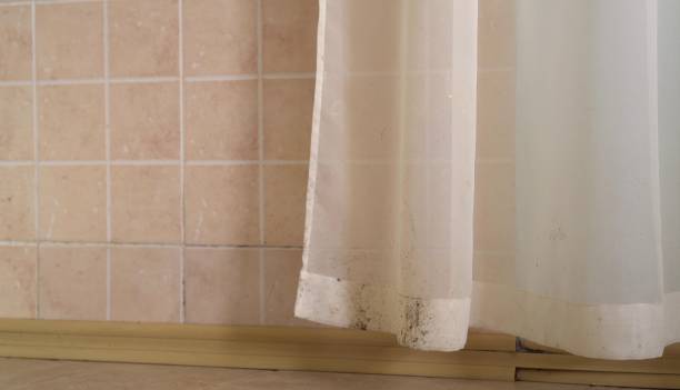 Best Mold Remediation for Rental Properties  in Hawkins, TX