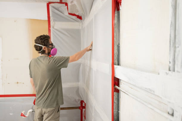 Best Asbestos and Lead Testing During Mold Inspection  in Hawkins, TX
