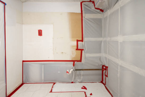 Best Real Estate Mold Inspection  in Hawkins, TX