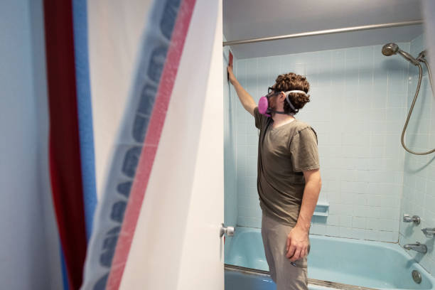 Hawkins, TX Mold Removal Company