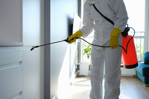 Best HVAC Mold Inspection and Cleaning  in Hawkins, TX