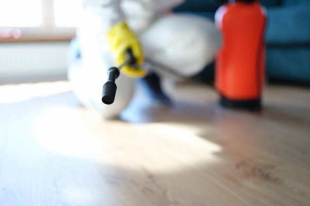 Best Mold Odor Removal Services  in Hawkins, TX